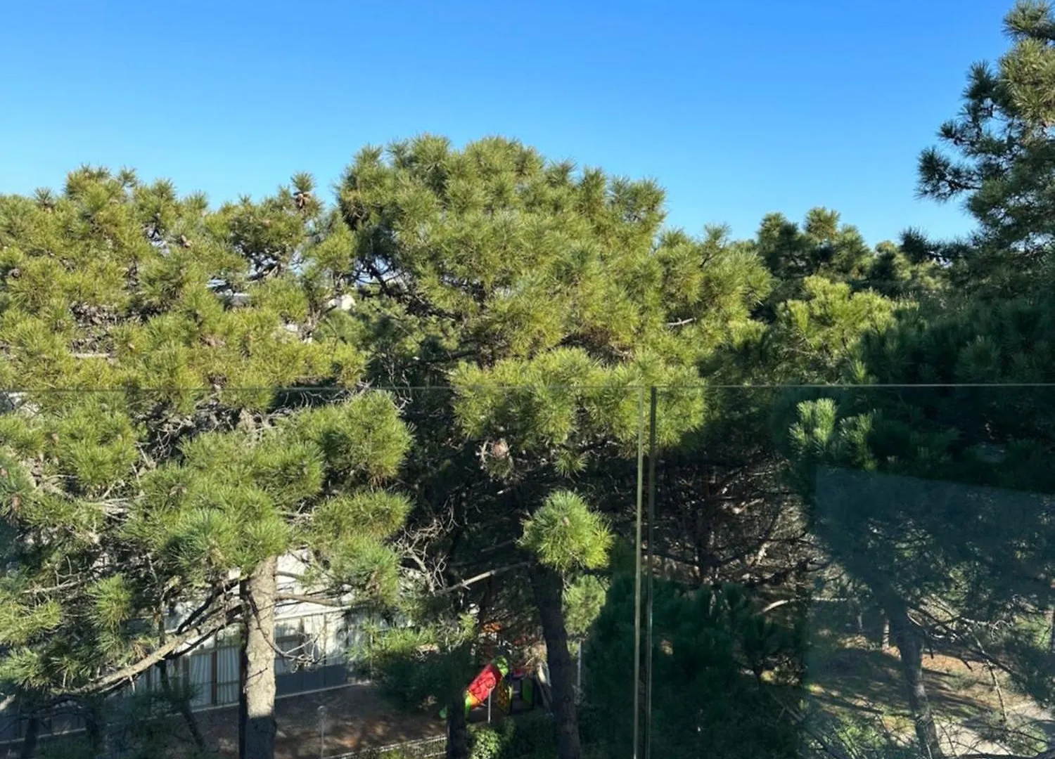 Hotel Lux B&B Mima Milano Marittima Italia